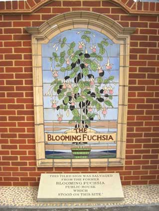 Ipswich Historic Lettering: Blooming Fuchsia 2