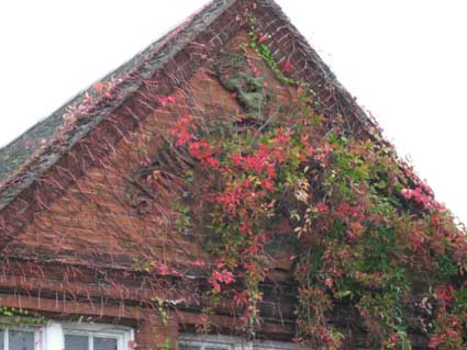 Ipswich Historic Lettering: Springlands 1